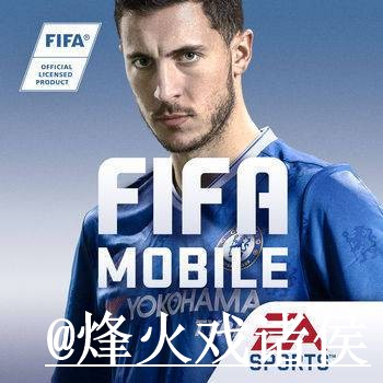 美加墨世界杯外围APP对比，平台稳定性和新手规则哪个更方便